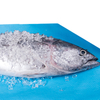 الجملة Sap Soaker Fish المأكولات البحرية وسادة ماصة للمياه العذبة