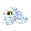 وصول جديد Sap Cooler Bag الشركة المصنعة Ice Gel Pack لحقيبة الغداء