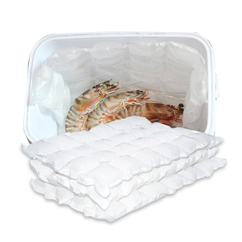 مخصص برودة حقيبة الغداء مربع حزمة الجليد